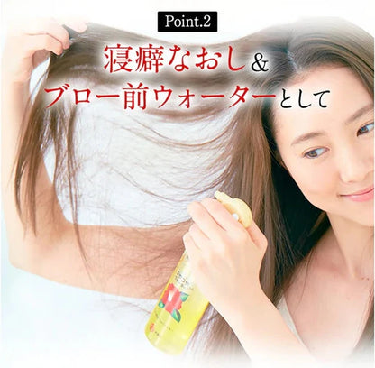 Oshima Tsubaki Hair Water 180ml Camellia Oil Leave In Treatment Japan
