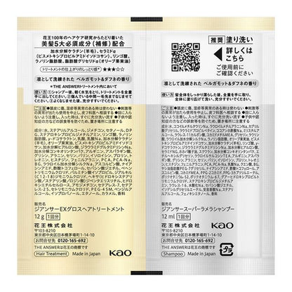 Trial Set - THE ANSWER by Kao – Super Lamellar Shampoo 12ml + EX Gloss 12g two packs